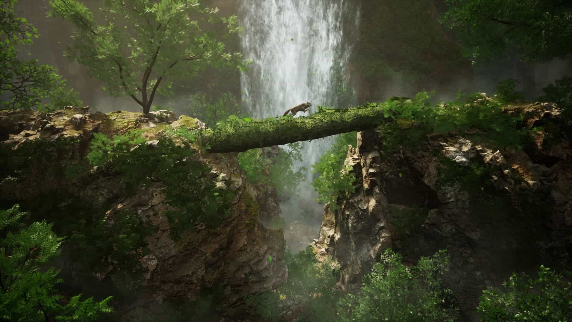 Featured image of post Laravel 开发准备工作